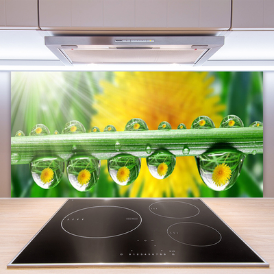 Kitchen Splashback Stem dew drops floral green