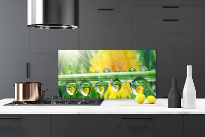 Kitchen Splashback Stem dew drops floral green