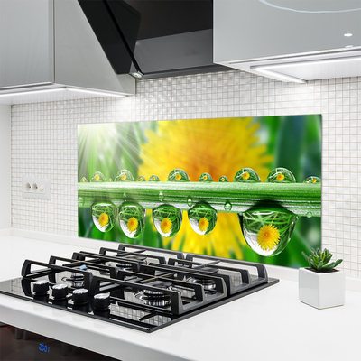 Kitchen Splashback Stem dew drops floral green