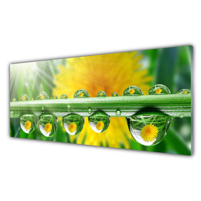 Kitchen Splashback Stem dew drops floral green