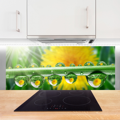 Kitchen Splashback Stem dew drops floral green