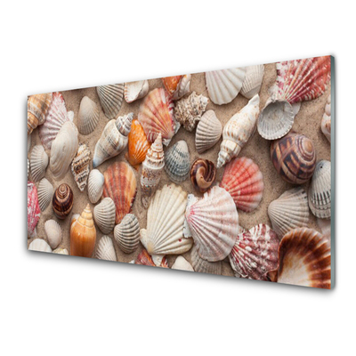 Kitchen Splashback Shellfish art white grey brown beige