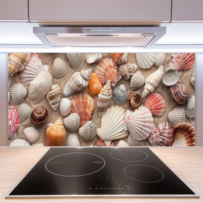 Kitchen Splashback Shellfish art white grey brown beige