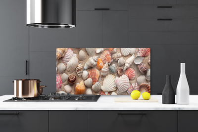 Kitchen Splashback Shellfish art white grey brown beige