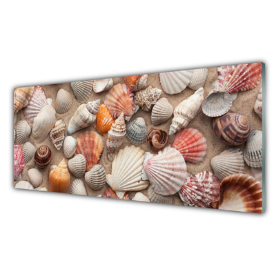 Kitchen Splashback Shellfish art white grey brown beige