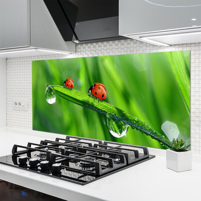 Kitchen Splashback Ladybird beetle floral green red black