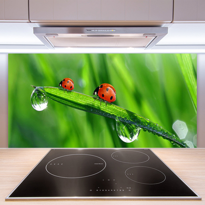 Kitchen Splashback Ladybird beetle floral green red black