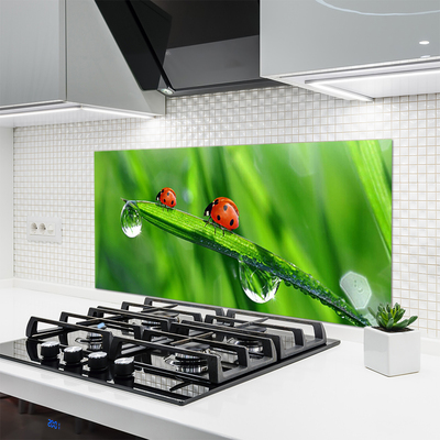 Kitchen Splashback Ladybird beetle floral green red black