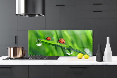 Kitchen Splashback Ladybird beetle floral green red black