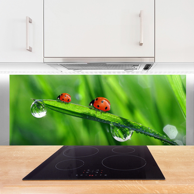 Kitchen Splashback Ladybird beetle floral green red black