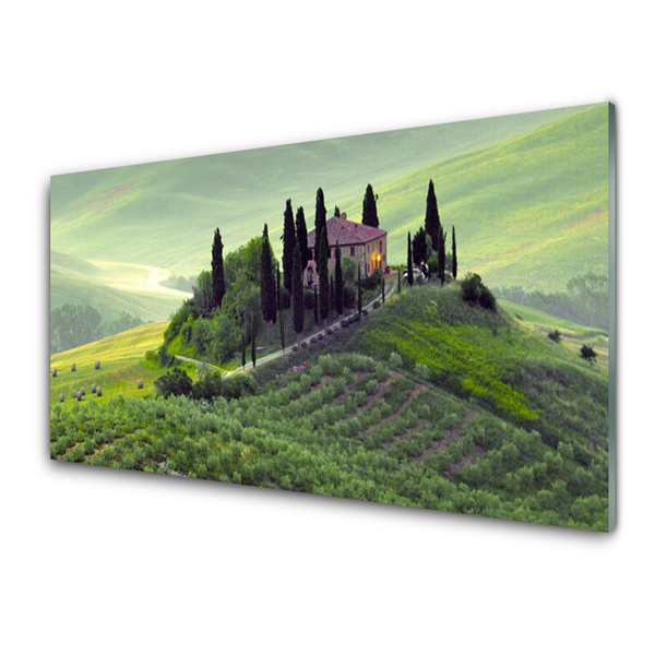 Kitchen Splashback Meadow trees nature green