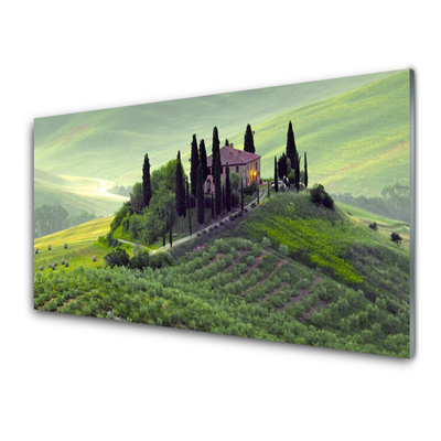 Kitchen Splashback Meadow trees nature green