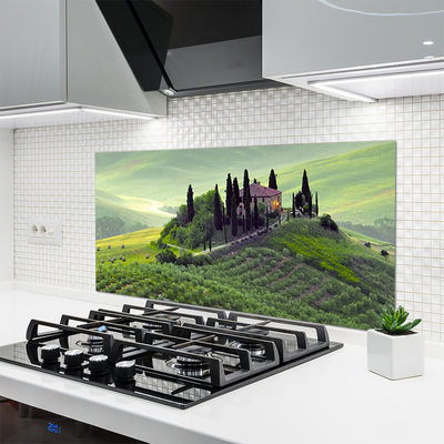 Kitchen Splashback Meadow trees nature green