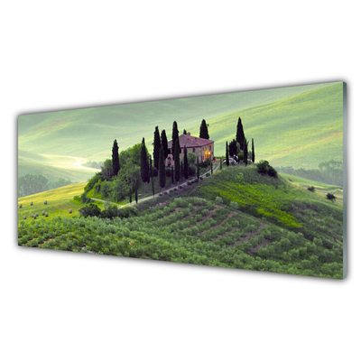 Kitchen Splashback Meadow trees nature green