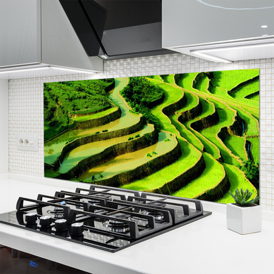 Kitchen Splashback Forest nature green