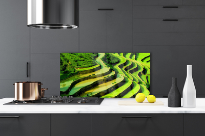 Kitchen Splashback Forest nature green