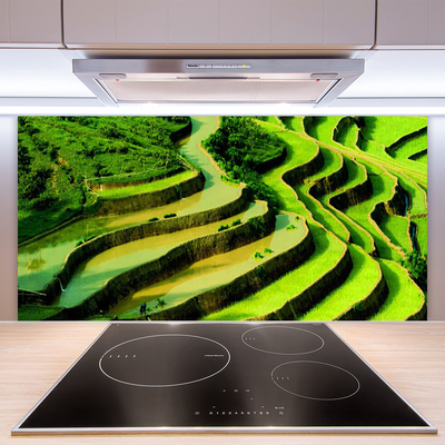 Kitchen Splashback Forest nature green