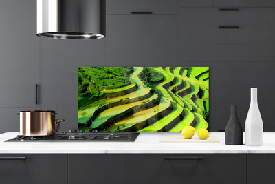 Kitchen Splashback Forest nature green