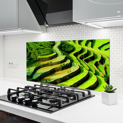 Kitchen Splashback Forest nature green