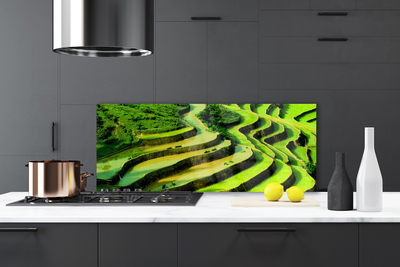 Kitchen Splashback Forest nature green