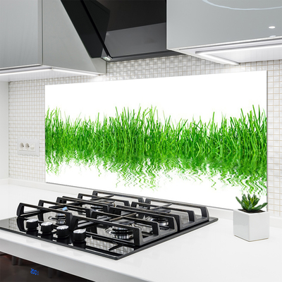 Kitchen Splashback Grass nature green