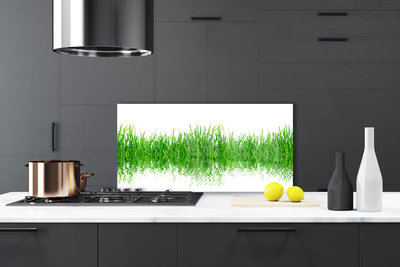 Kitchen Splashback Grass nature green