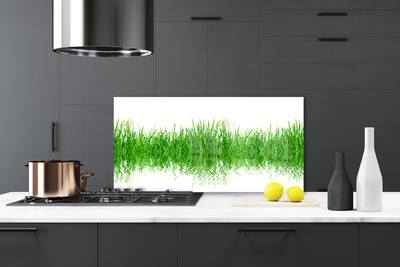 Kitchen Splashback Grass nature green