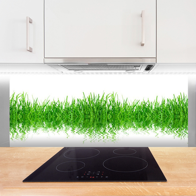 Kitchen Splashback Grass nature green