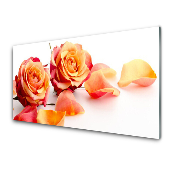 Kitchen Splashback Roses floral yellow orange