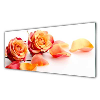 Kitchen Splashback Roses floral yellow orange