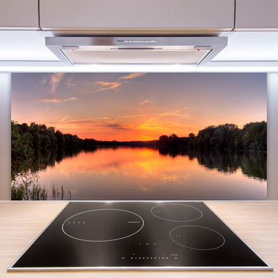 Kitchen Splashback Lake forest landscape yellow greengrey