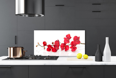 Kitchen Splashback Flowers floral red