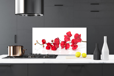 Kitchen Splashback Flowers floral red