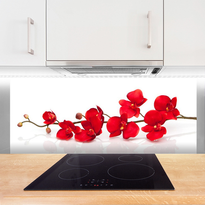 Kitchen Splashback Flowers floral red