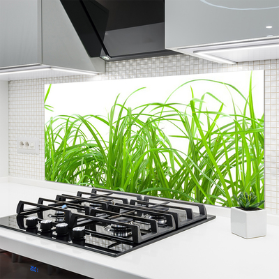 Kitchen Splashback Grass nature green