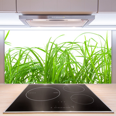 Kitchen Splashback Grass nature green