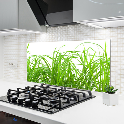 Kitchen Splashback Grass nature green