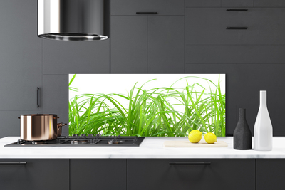 Kitchen Splashback Grass nature green