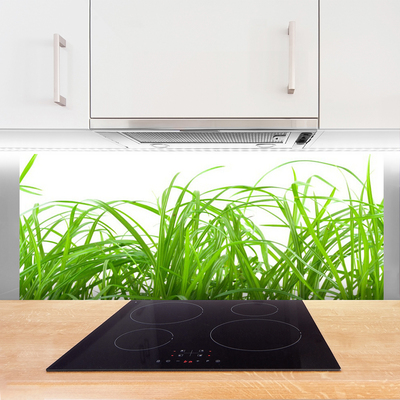 Kitchen Splashback Grass nature green