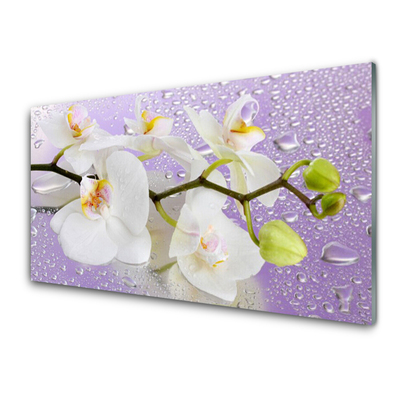 Kitchen Splashback Flowers floral white