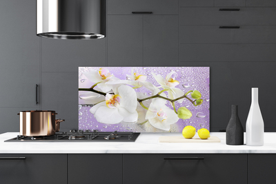 Kitchen Splashback Flowers floral white