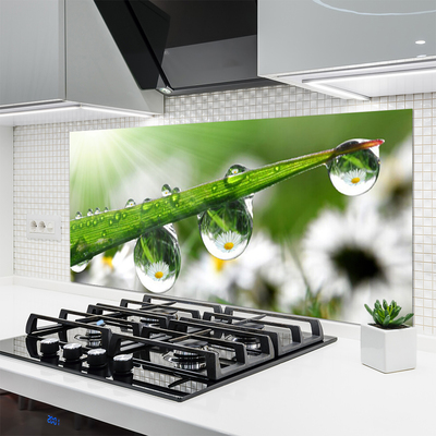 Kitchen Splashback Grass dew drops nature green