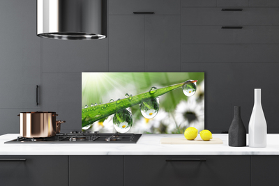 Kitchen Splashback Grass dew drops nature green