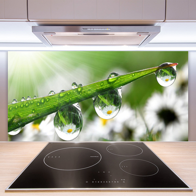 Kitchen Splashback Grass dew drops nature green