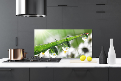 Kitchen Splashback Grass dew drops nature green