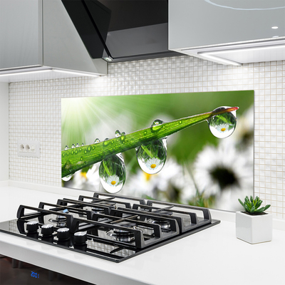 Kitchen Splashback Grass dew drops nature green