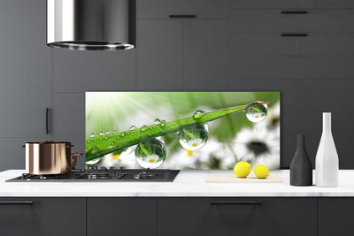 Kitchen Splashback Grass dew drops nature green