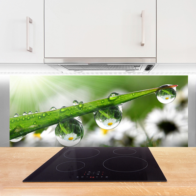 Kitchen Splashback Grass dew drops nature green