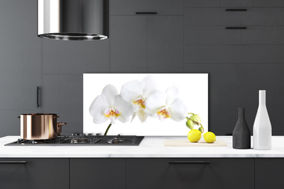 Kitchen Splashback Flowers floral white