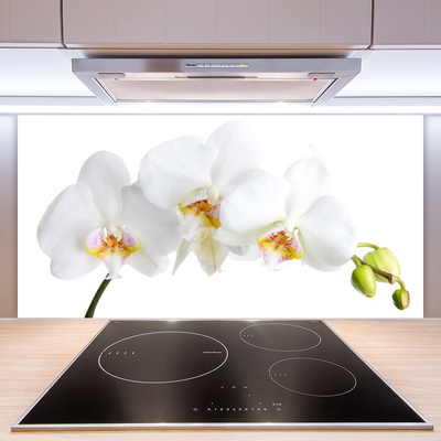 Kitchen Splashback Flowers floral white